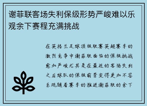 谢菲联客场失利保级形势严峻难以乐观余下赛程充满挑战